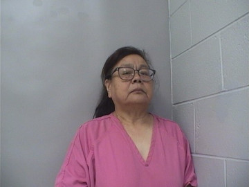 Mugshot of Dina Zhao