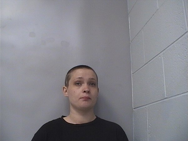 Mugshot of Alanna Lucas