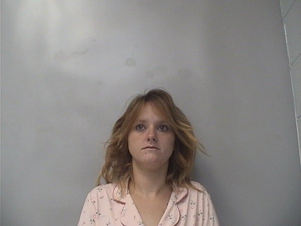 Mugshot of Alyssia Paquin