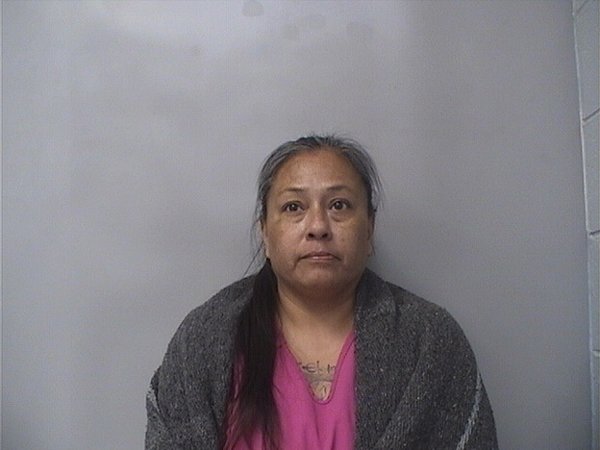 Mugshot of JANET JOHNSON