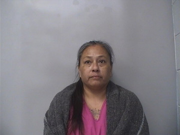 Mugshot of JANET JOHNSON