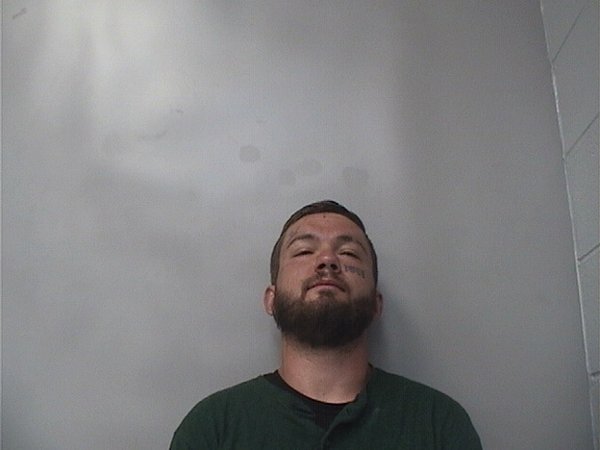 Mugshot of BRYSON PALMER