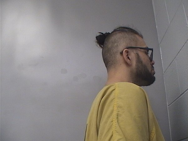 Mugshot of DILLON POULTON