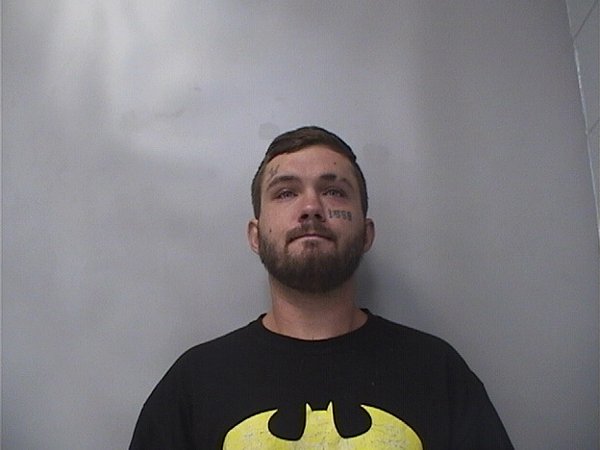 Mugshot of BRYSON PALMER