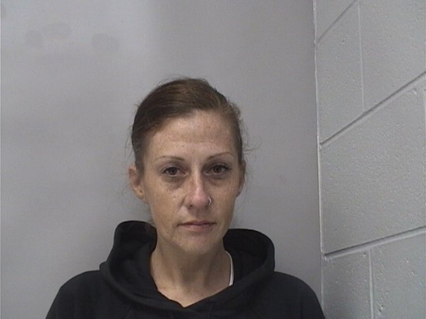 Mugshot of BRANDI HORNE