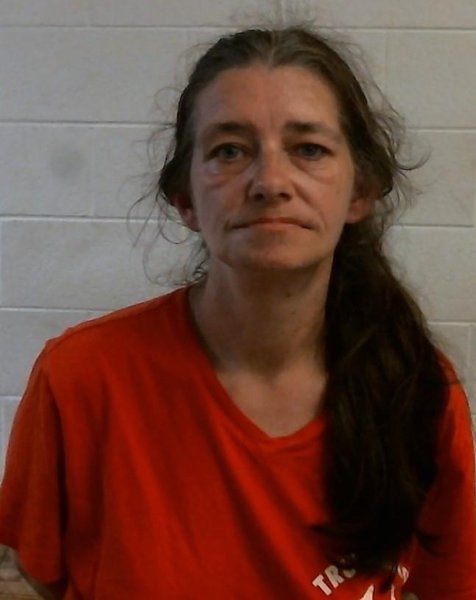 Mugshot of AMANDA LEA HALSTED