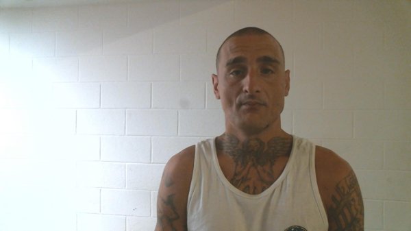 Mugshot of KYLE SEAN LEE