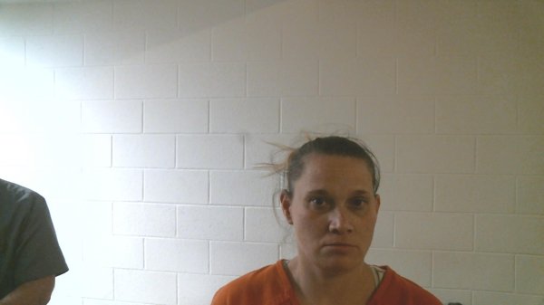 Mugshot of TINA MARIE SARVER