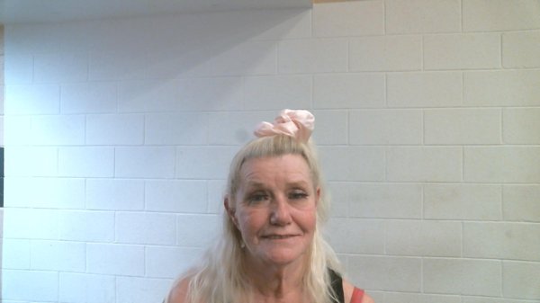 Mugshot of PAMELA JEAN MYERS