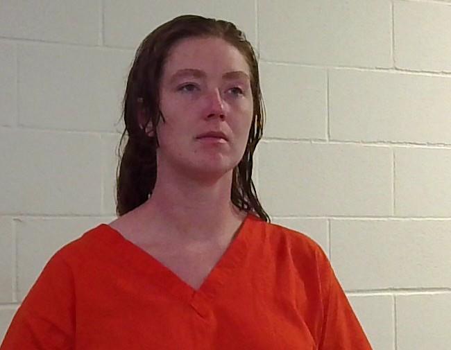 Mugshot of NICOLE SOWDER