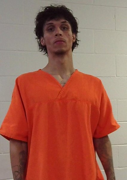 Mugshot of TANNER MCLISH WOOD