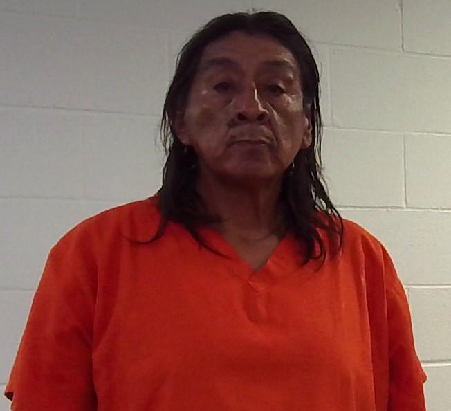 Mugshot of GALE LEE LENA