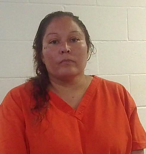 Mugshot of TRACY ANN SPAIN