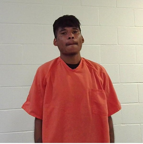 Mugshot of WILLIAM TYLER HAYNES