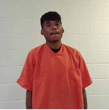Mugshot of WILLIAM TYLER HAYNES