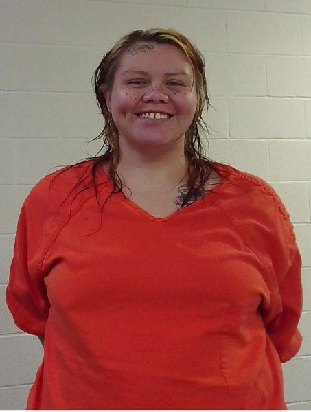 Mugshot of ERIN NICOLE HODGE