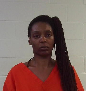 Mugshot of ERIN NAPOLEON