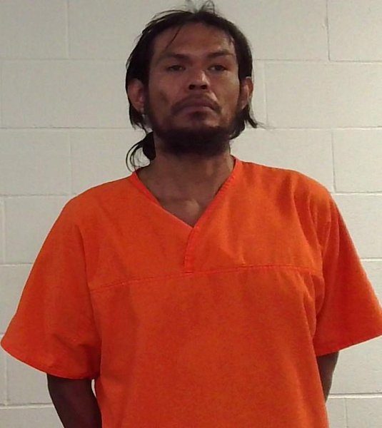 Mugshot of STEVEN BRADLEY WOLF