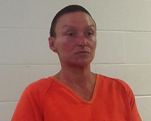 Mugshot of LEE ANN HUBBELL