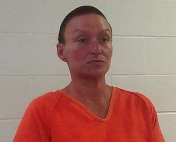 Mugshot of LEE ANN HUBBELL