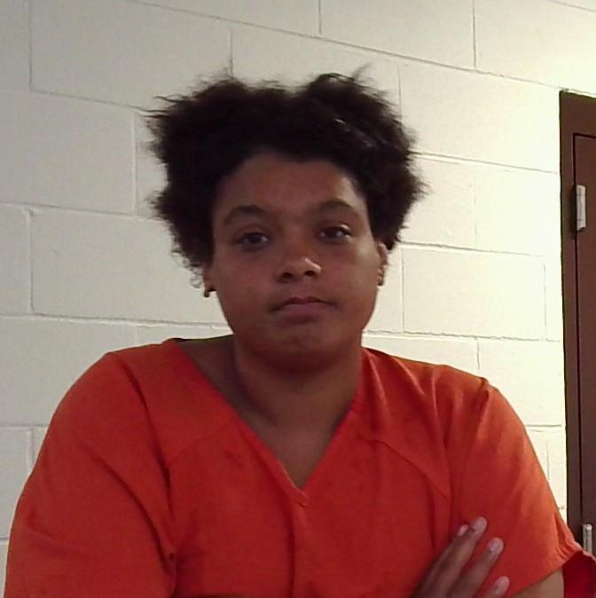 Mugshot of LANI CASHA ANGEL