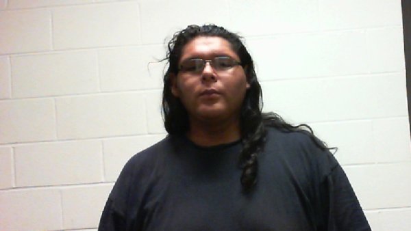 Mugshot of ROBIN SHANE ROBERTS