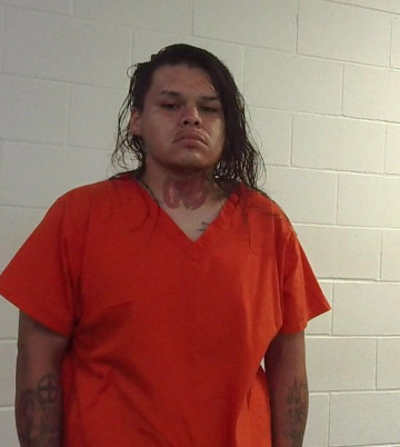 Mugshot of RYAN DANIEL HOLATA