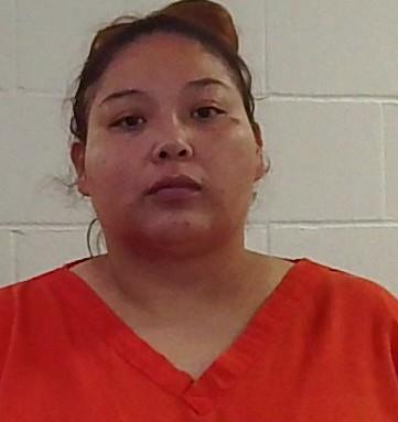 Mugshot of SARAH LYNN TIGER