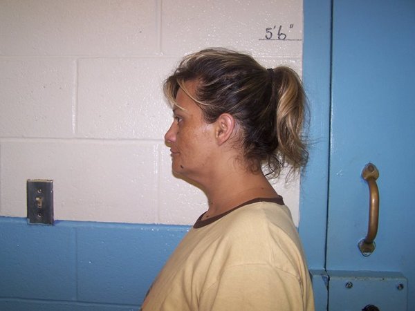 Mugshot of JULIA ANN CLOWER