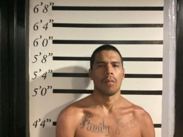 Mugshot of ETHAN RUNABOUT