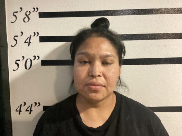 Mugshot of SHAWNA VANN