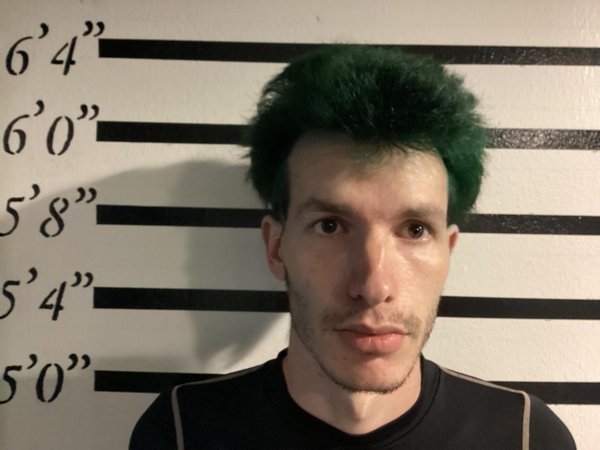 Mugshot of DONALD JUNIOR. WANN