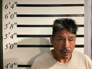 Mugshot of ELMER LEE JAMES