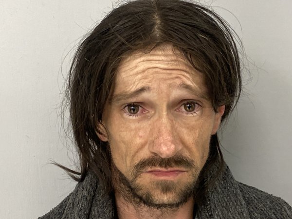 Mugshot of DYLAN HODGES