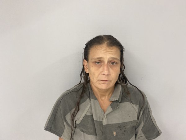 Mugshot of RENEE MYERS