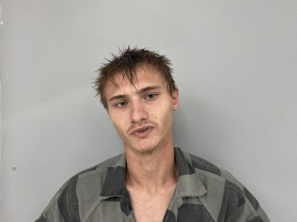 Mugshot of KAYDEN TERRY