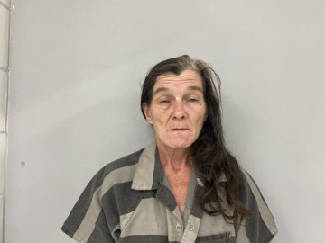 Mugshot of MISTY RICHARDSON