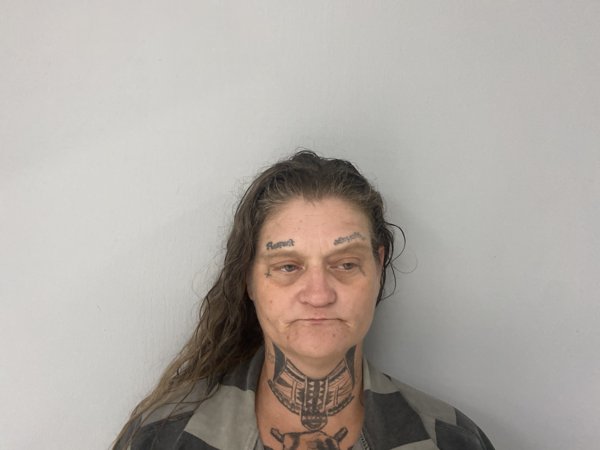 Mugshot of JONIE WELSH