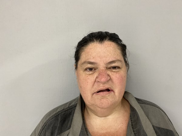 Mugshot of JULIE ARNOLD-SAWYER