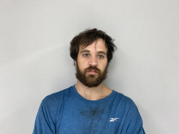 Mugshot of ANDREW WOMACK