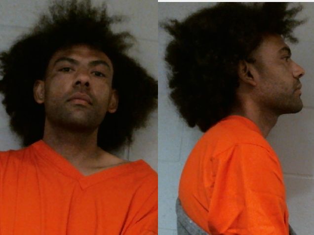 Mugshot of TRACY D THOMPSON