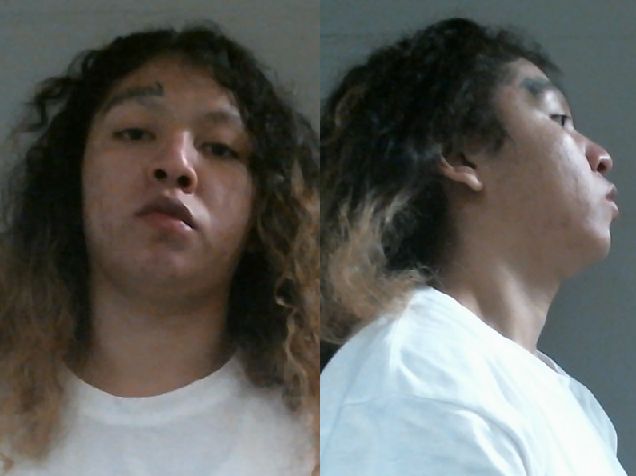 Mugshot of LATAVIA JOLIE ROLAND