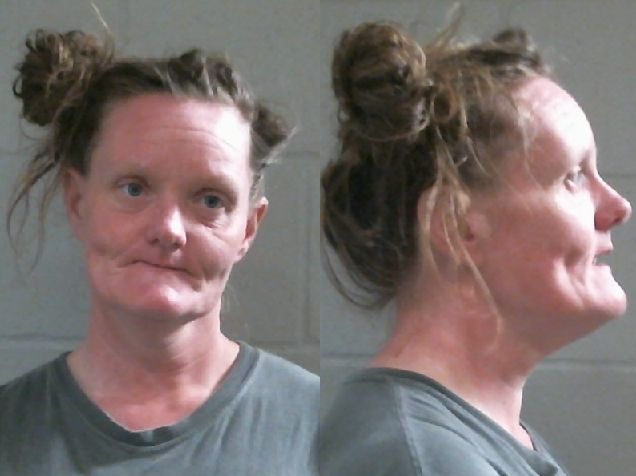 Mugshot of ANGELA RENEE WHITE