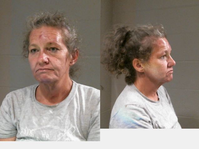 Mugshot of TRINA MICHELLE FULLILOVE