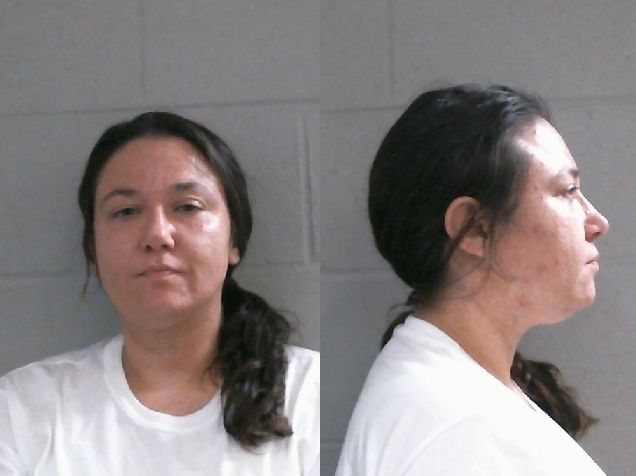Mugshot of PATRICIA ANDERSON