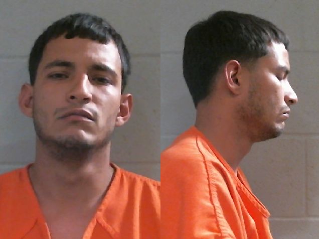 Mugshot of LUIS GABRIEL BOSCAN
