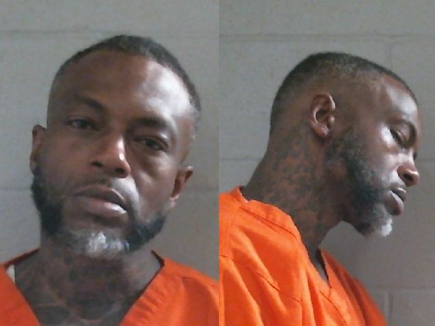 Mugshot of DENVER FALCO LEE