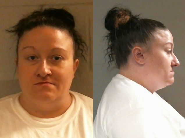 Mugshot of ALISON RAE PROLENSKI