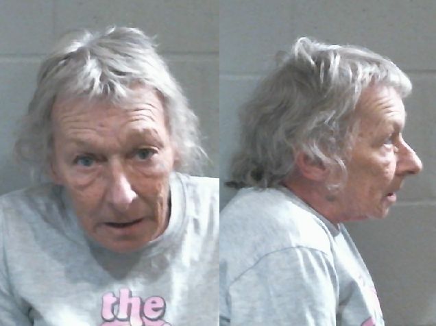 Mugshot of DEBORAH MARIE LYNDS
