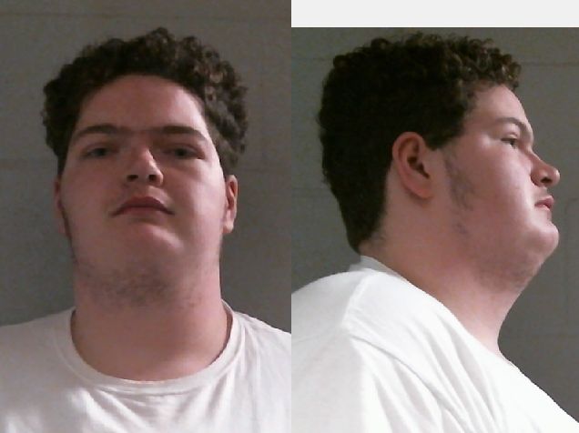 Mugshot of ATLAS GAELYN WILLIAMS